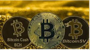 Bitcoin Cash Vs Bitcoin 